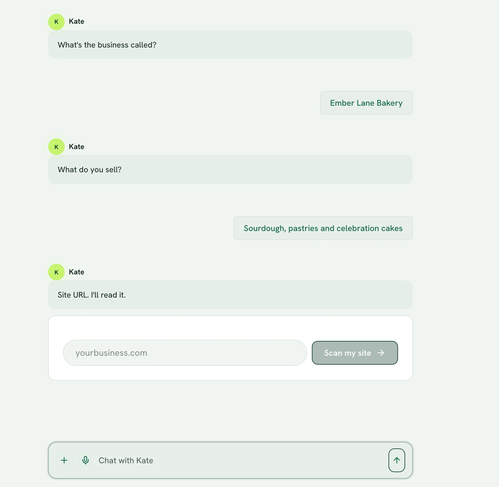 Kate's chat in the app: she asks what the business is called and what it sells, then offers to read the website.